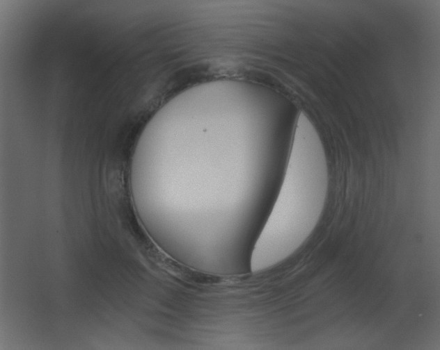 X0000068300603200604211012
