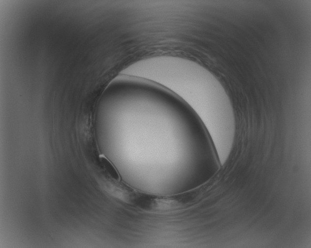X0000068300605200604211012