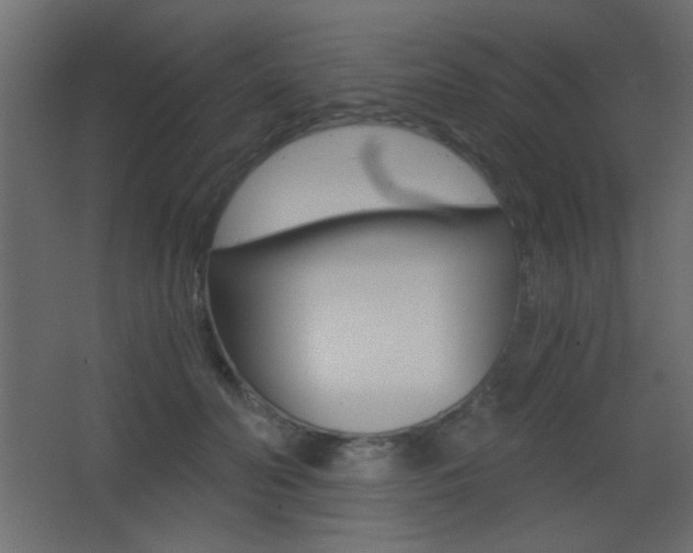 X0000068300606200604211012