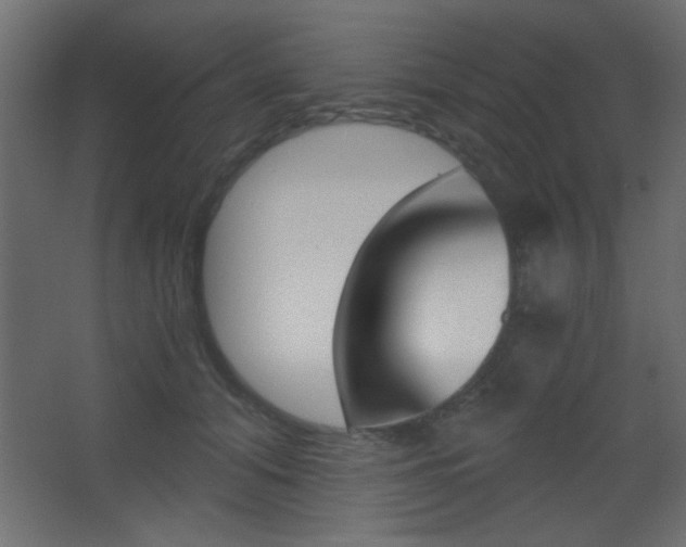 X0000068300608200604211012