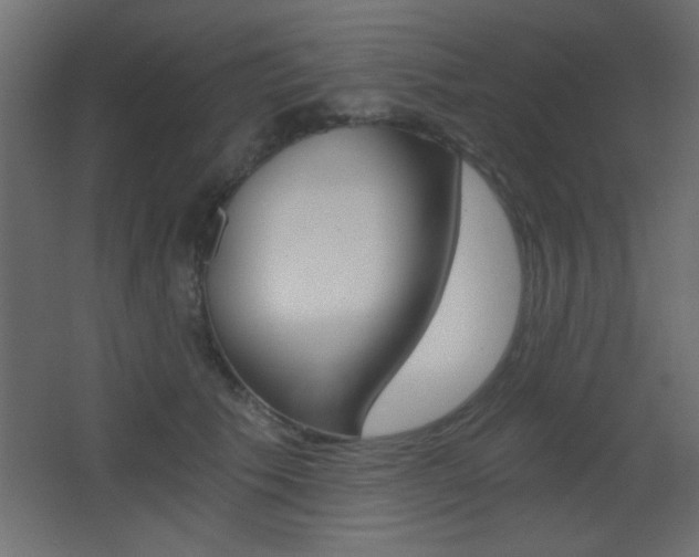 X0000068300609200604211012