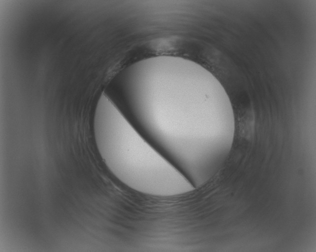 X0000068300618200604211012