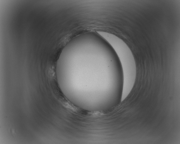X0000068300621200604211012