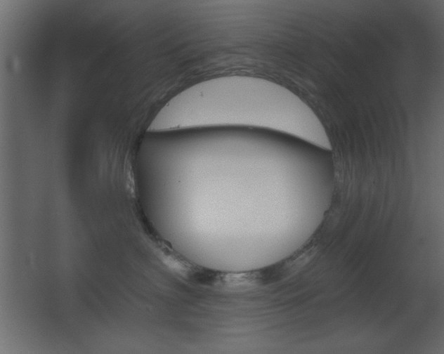 X0000068300622200604211012