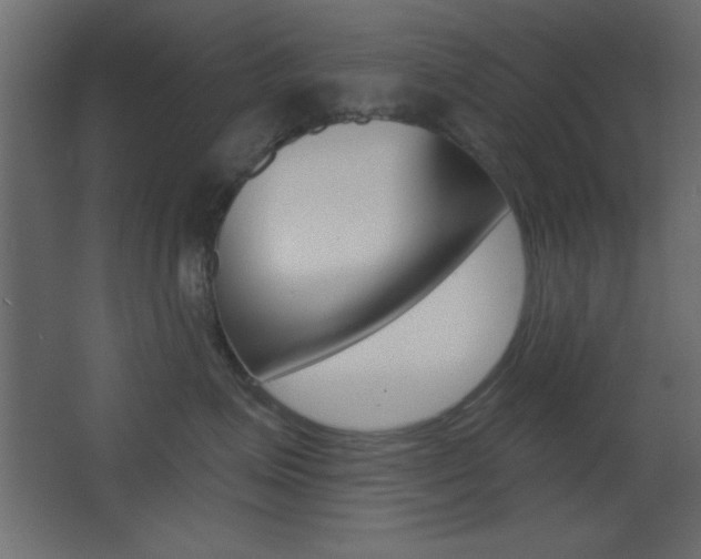 X0000068300623200604211012