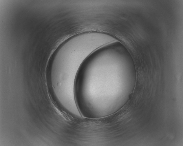 X0000068300626200604211011