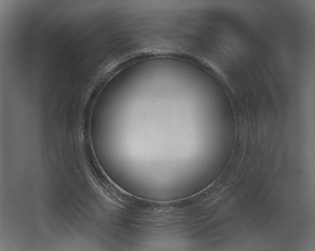 X0000068300631200604211011