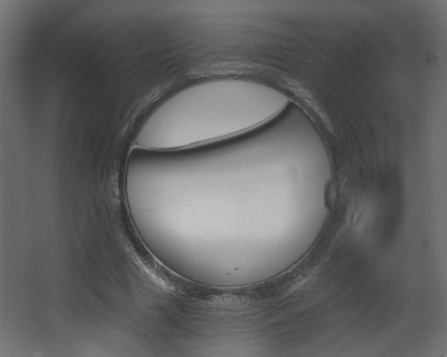 X0000068300633200604211011