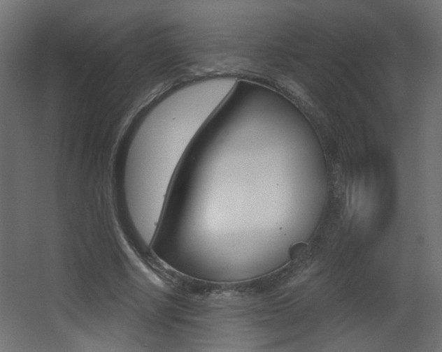 X0000068300634200604211011