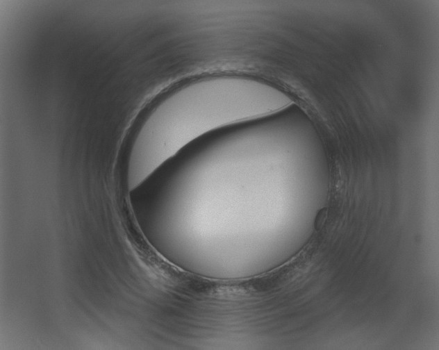 X0000068300636200604211012