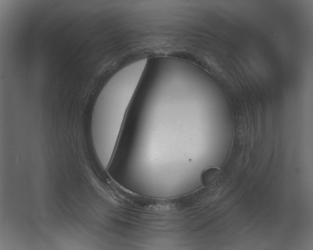 X0000068300639200604211012