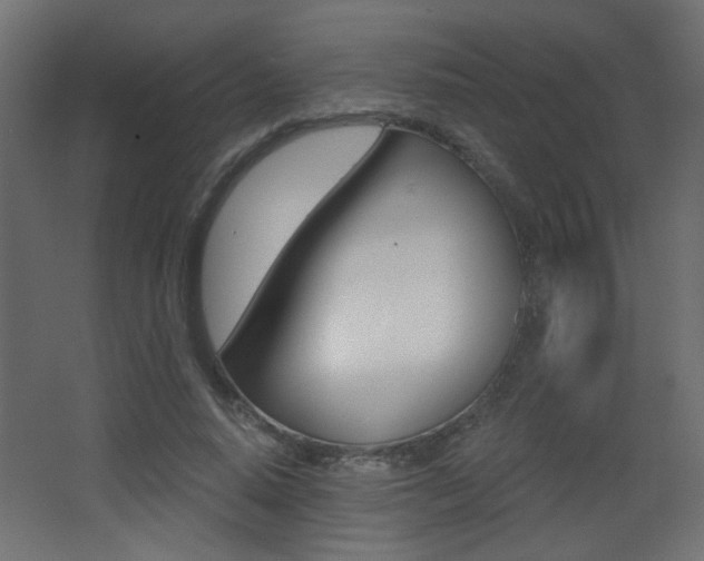 X0000068300640200604211012