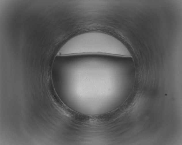 X0000068300641200604211012