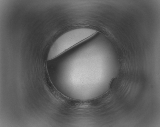 X0000068300643200604211012