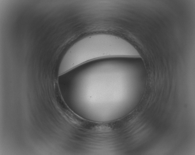 X0000068300644200604211012