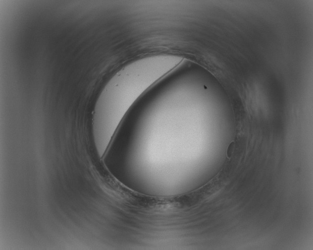 X0000068300646200604211012