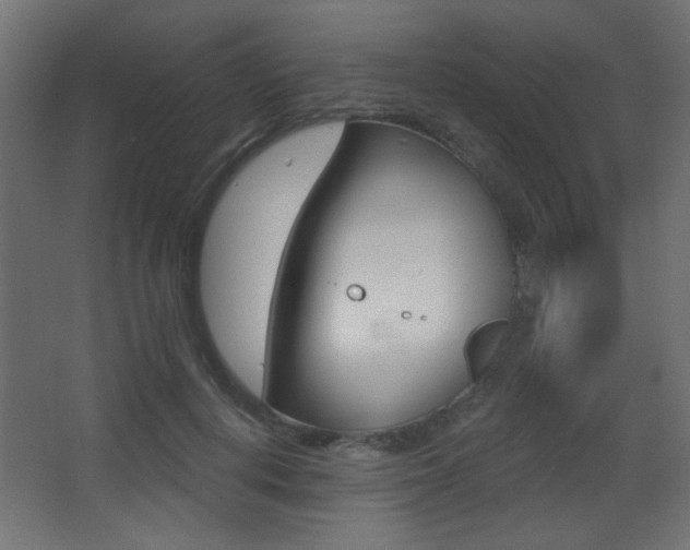 X0000068300648200604211012