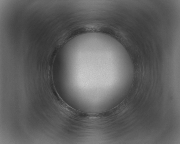 X0000068300649200604211012