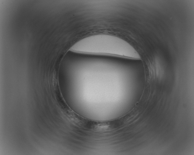 X0000068300651200604211012
