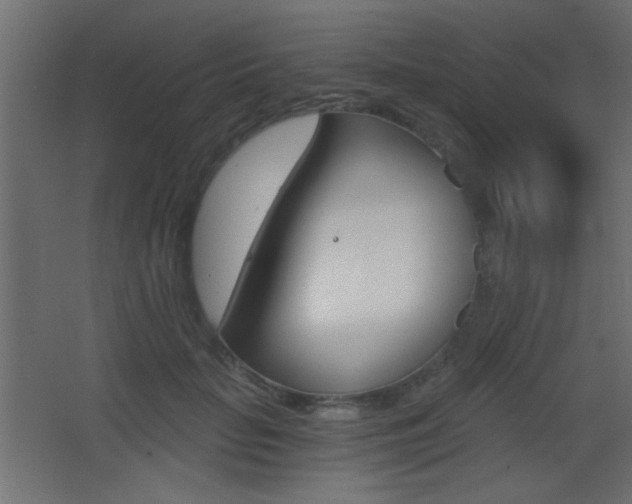 X0000068300653200604211012