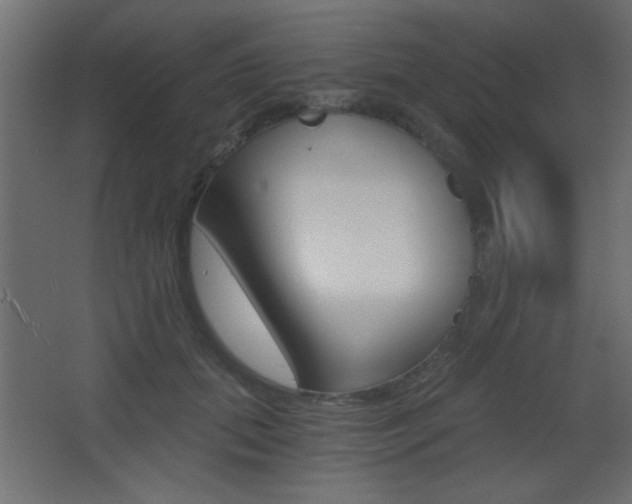 X0000068300655200604211012