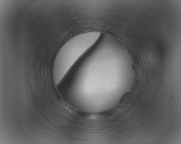X0000068300657200604211012