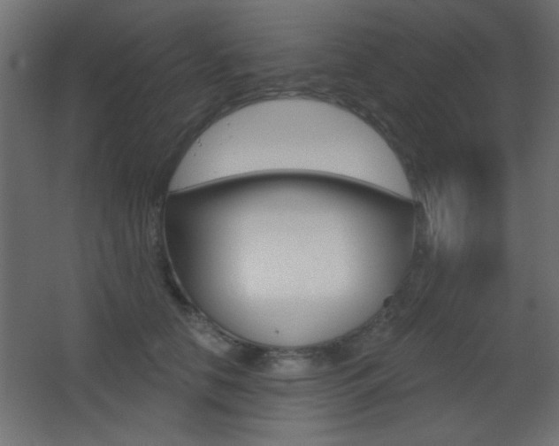 X0000068300658200604211012