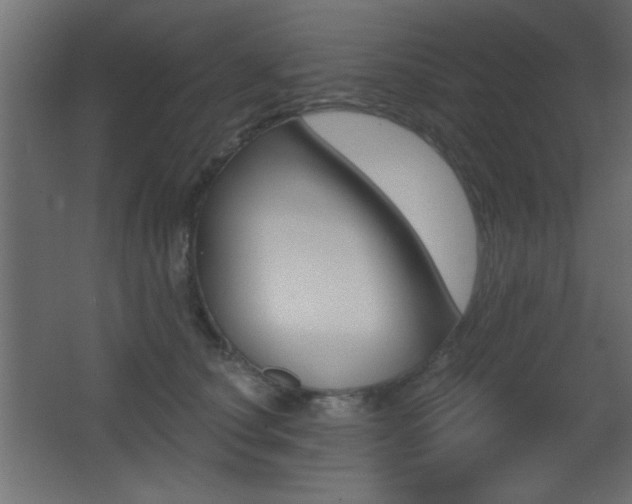 X0000068300660200604211012