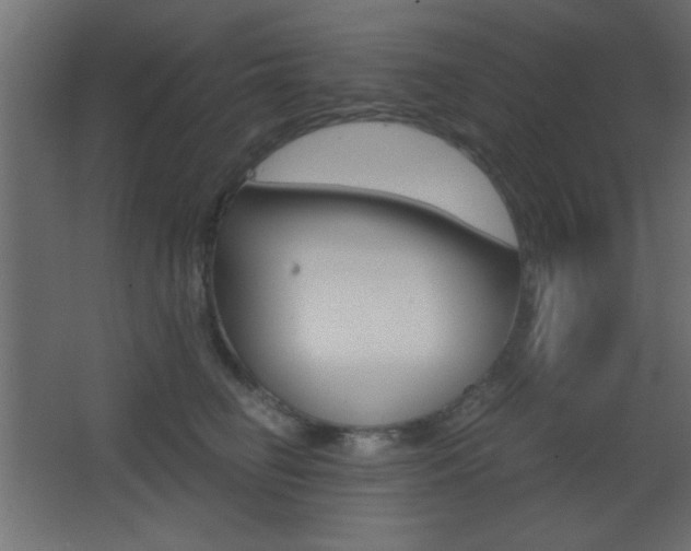 X0000068300662200604211012