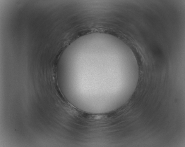 X0000068300663200604211012