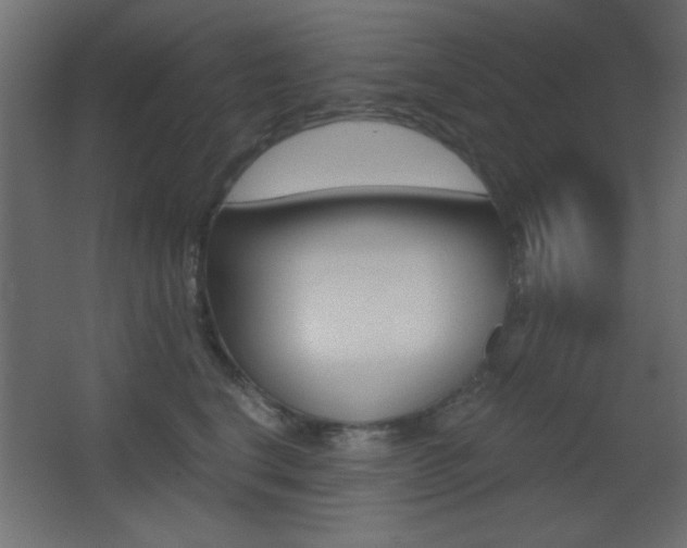 X0000068300664200604211012