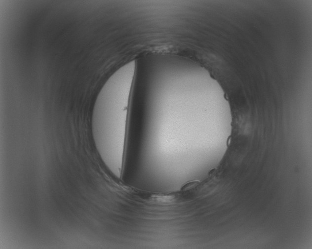 X0000068300665200604211012