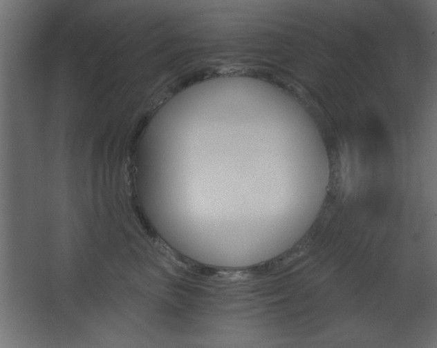 X0000068300667200604211012