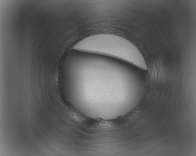 X0000068300668200604211012