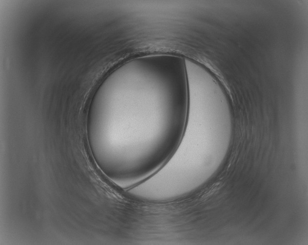 X0000068300673200604211011