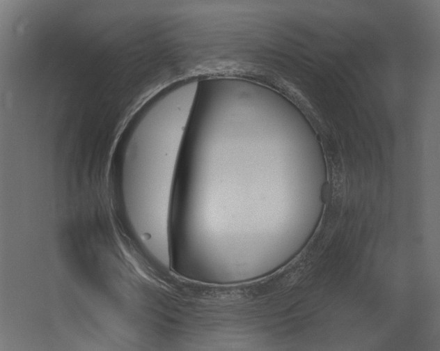 X0000068300674200604211011