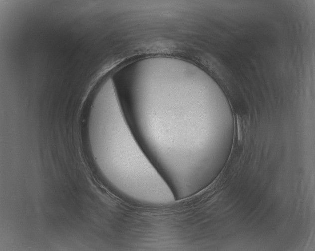 X0000068300675200604211011