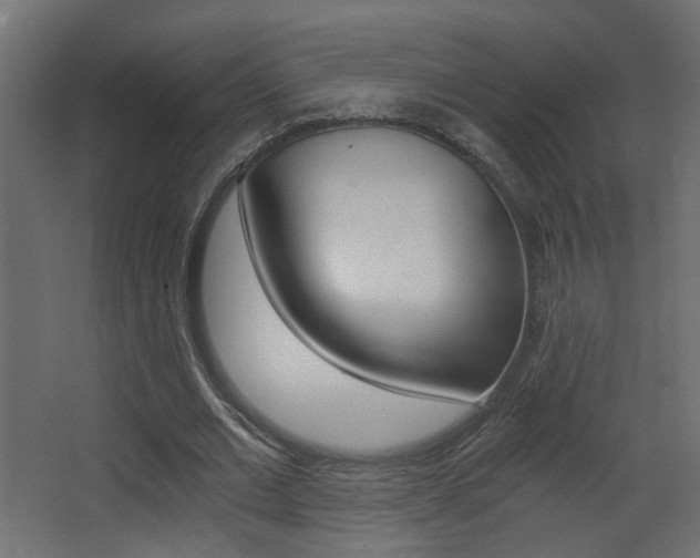 X0000068300677200604211011