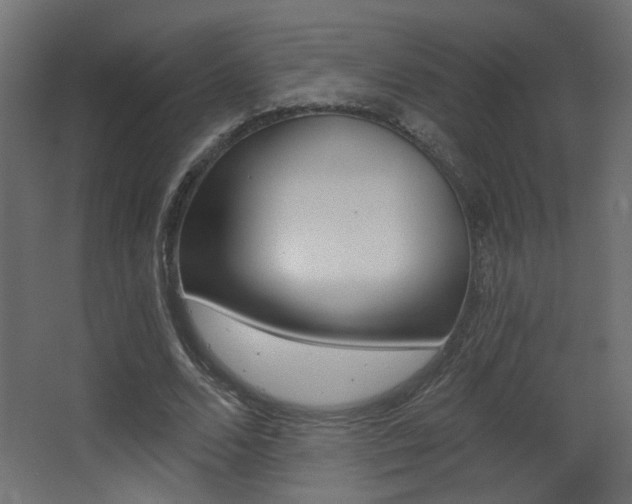 X0000068300680200604211011