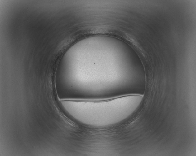 X0000068300681200604211011