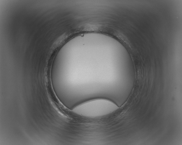 X0000068300682200604211011