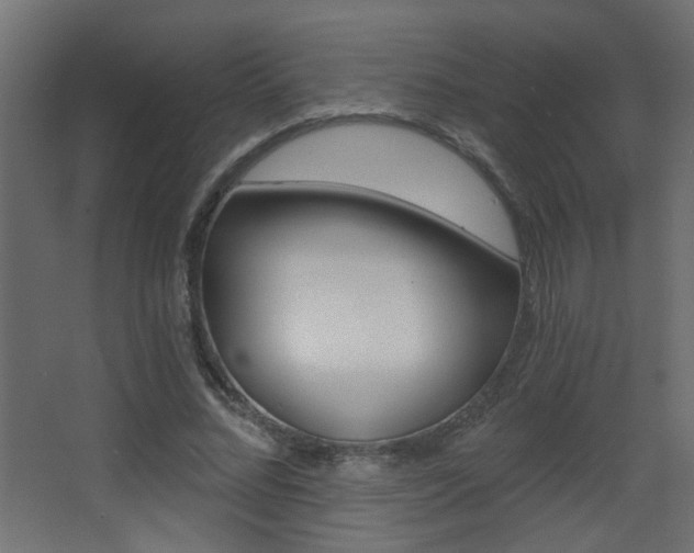 X0000068300684200604211011