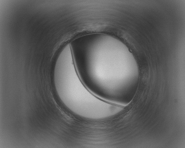 X0000068300685200604211011