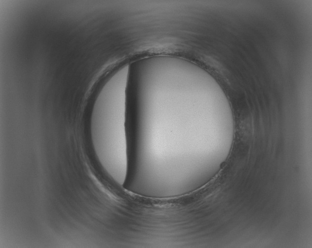 X0000068300686200604211011