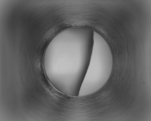 X0000068300687200604211011