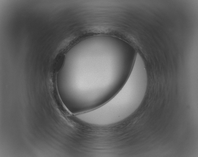 X0000068300688200604211011