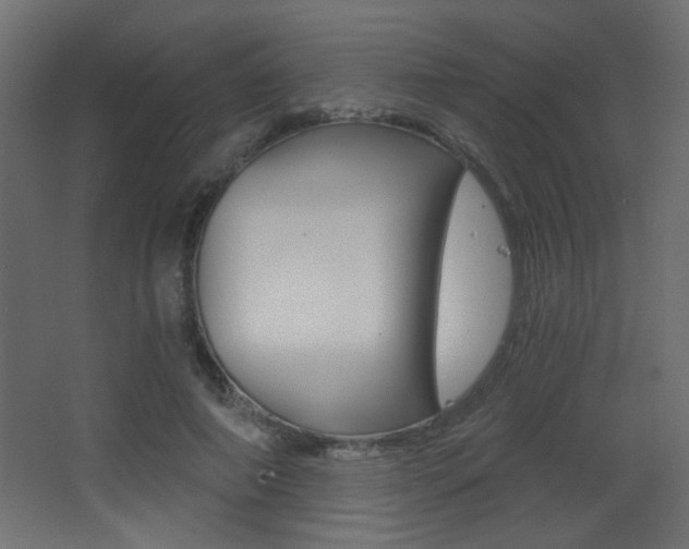 X0000068300690200604211011