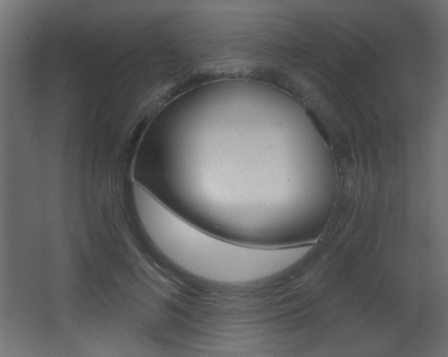 X0000068300692200604211011
