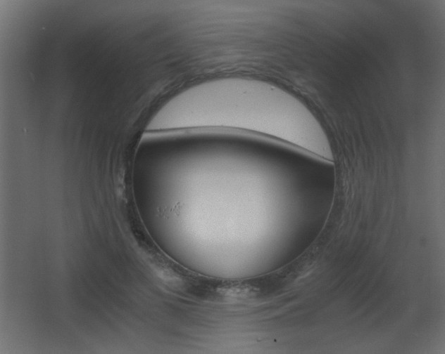 X0000068300693200604211011