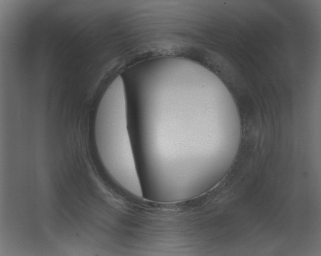 X0000068300694200604211011